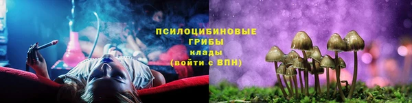 mix Богородск