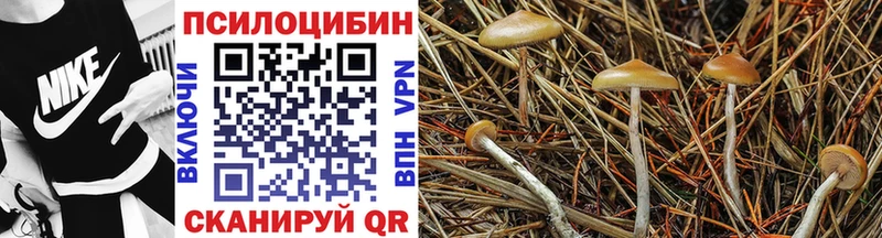 Псилоцибиновые грибы MAGIC MUSHROOMS  Купить закладки  Харабали 